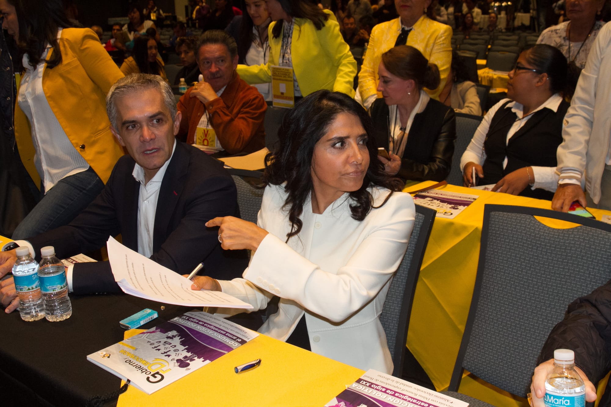 PRD aplaza renovación de dirigencia hasta octubre de 2018