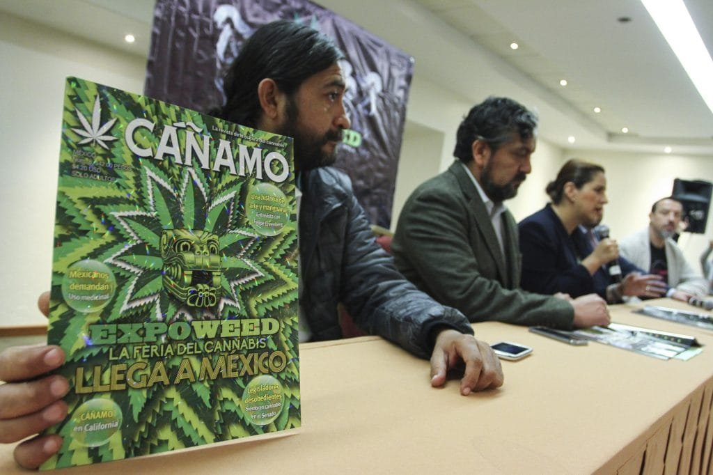 Cáñamo obtiene suspensión definitiva para seguir en circulación